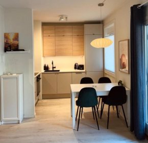 Cosy studio apartment at Torshov